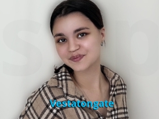Vestatongate
