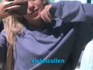 Violetcollen
