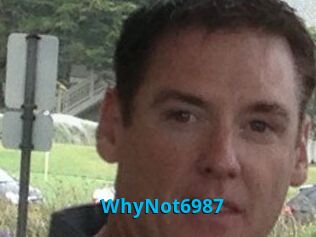 WhyNot6987