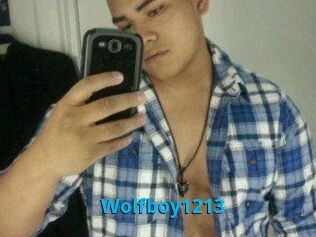 Wolfboy1213