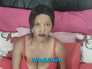 Wildkitten