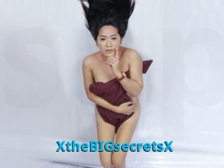 XtheBIGsecretsX