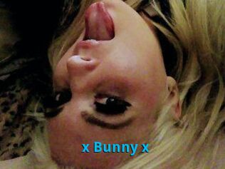 _x_Bunny_x_