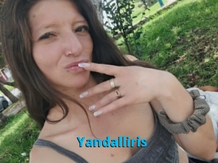 Yandalliris