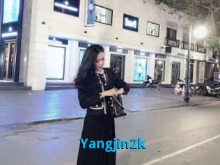 Yangjin2k
